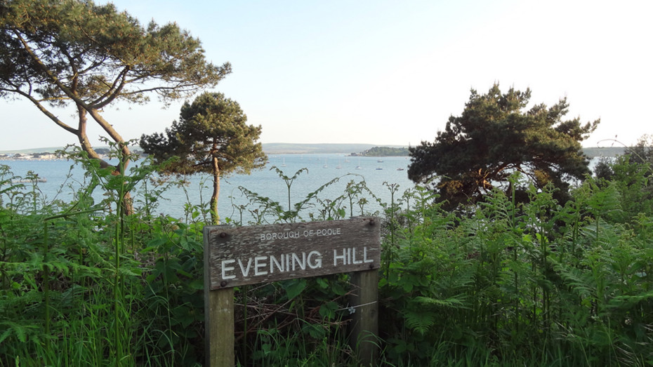 Evening Hill, Poole